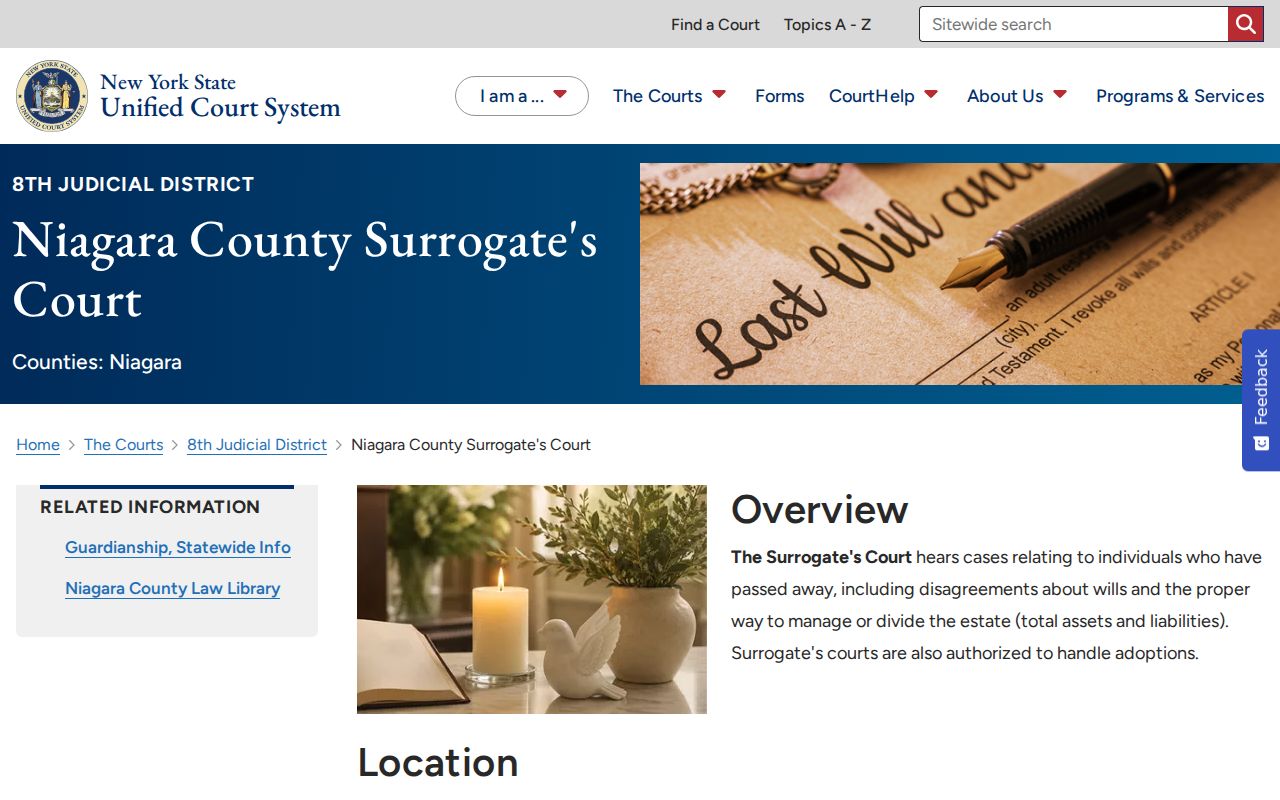 Niagara County resident lookup source for Surrogate's Court records